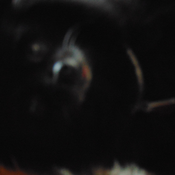 Meet your Posher, Jose - Picture 1 of 1